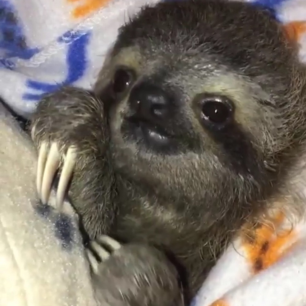 Meet your Posher, Anja